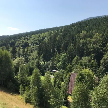 Nina Dolní Morava